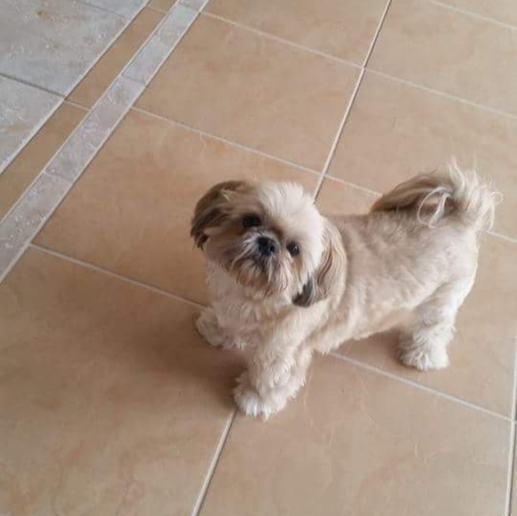 Meet your Posher, Tami - Picture 2 of 3